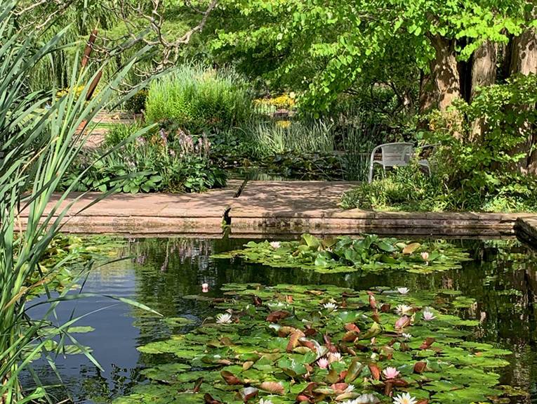 Teich in einem Park.